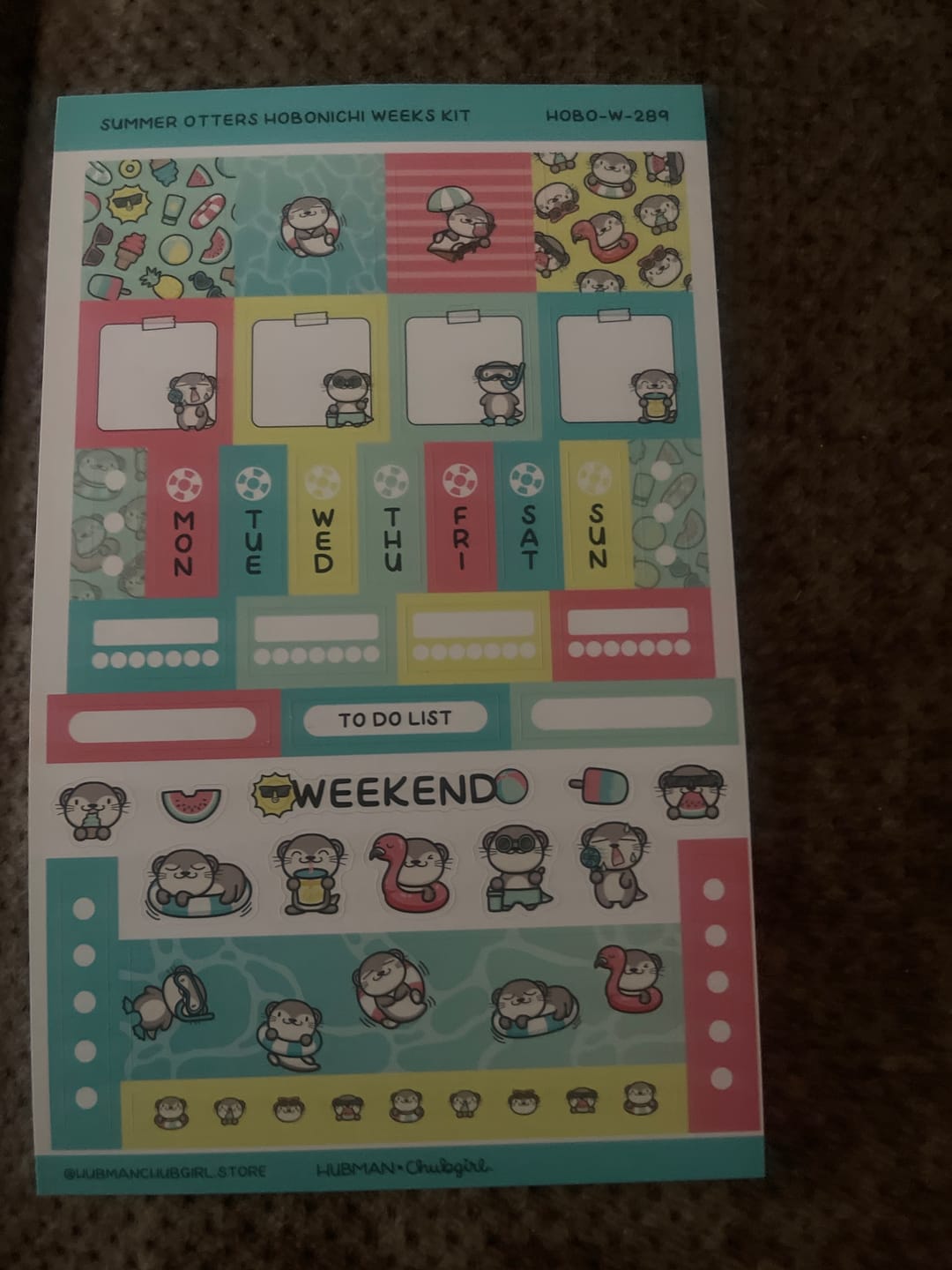 Customer photo review of Summer Otters Hobonichi Weeks Kit