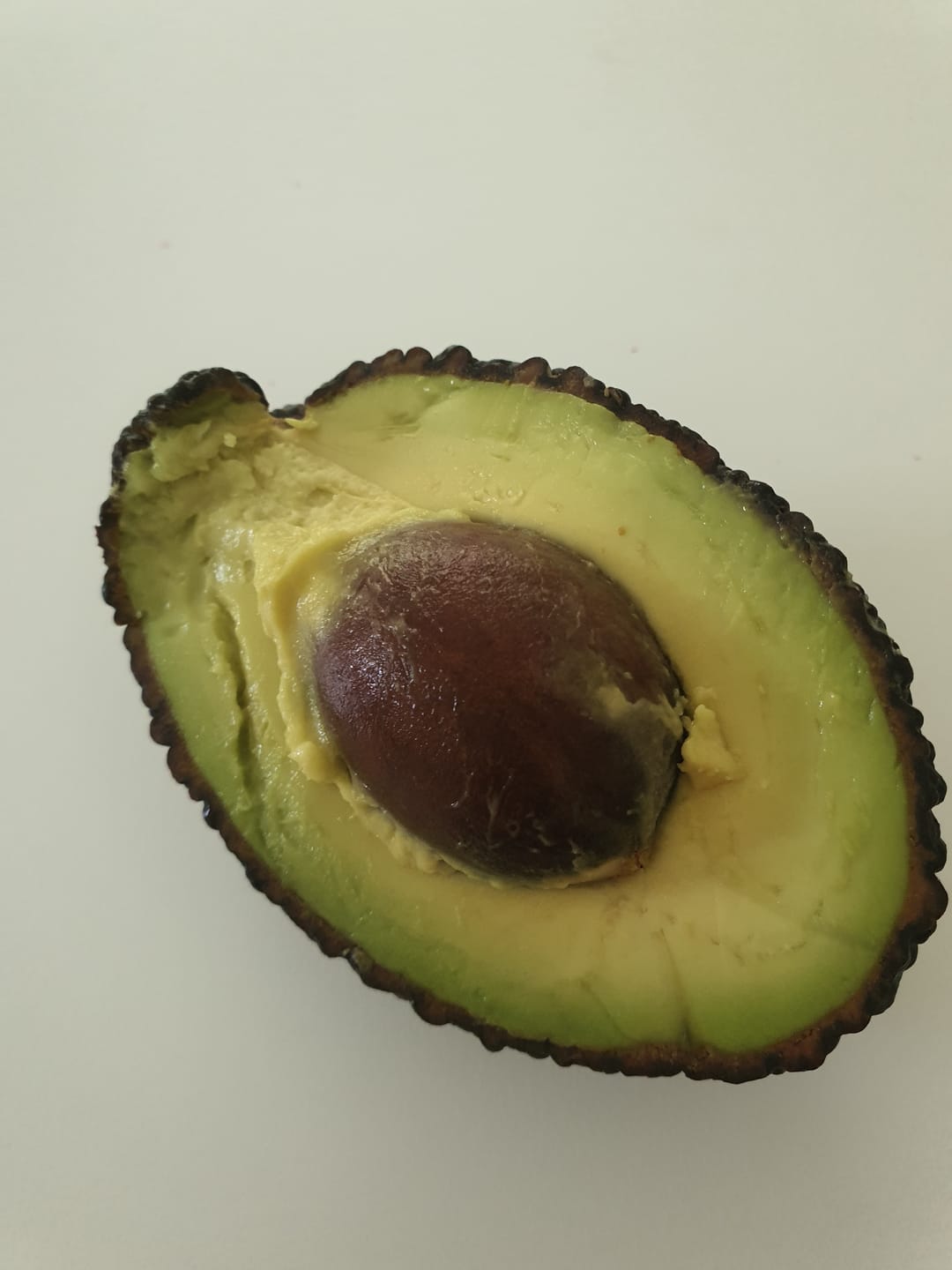 Customer photo review of Avocado Hass 15 Monate baumgereift von Julian