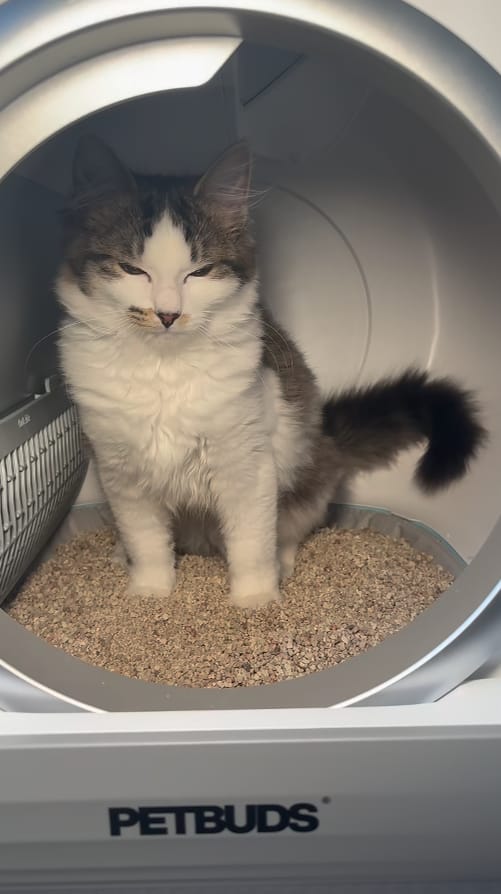 Customer photo review of Petbuds™ Pro 2026 Automatic Self-Cleaning Litter Box