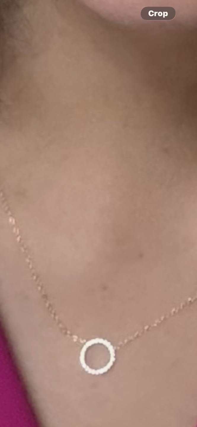 Customer photo review of Collar Con Dije Contorno Circulo Con Zirconias