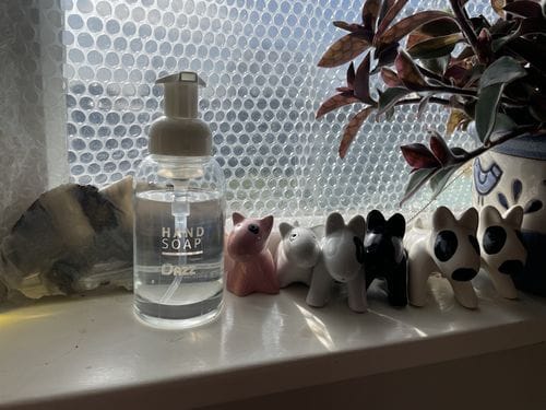 Customer photo review of Dazz Eco Home Cleaning Kit