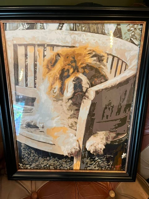 Customer photo review of Paint(s) replacement