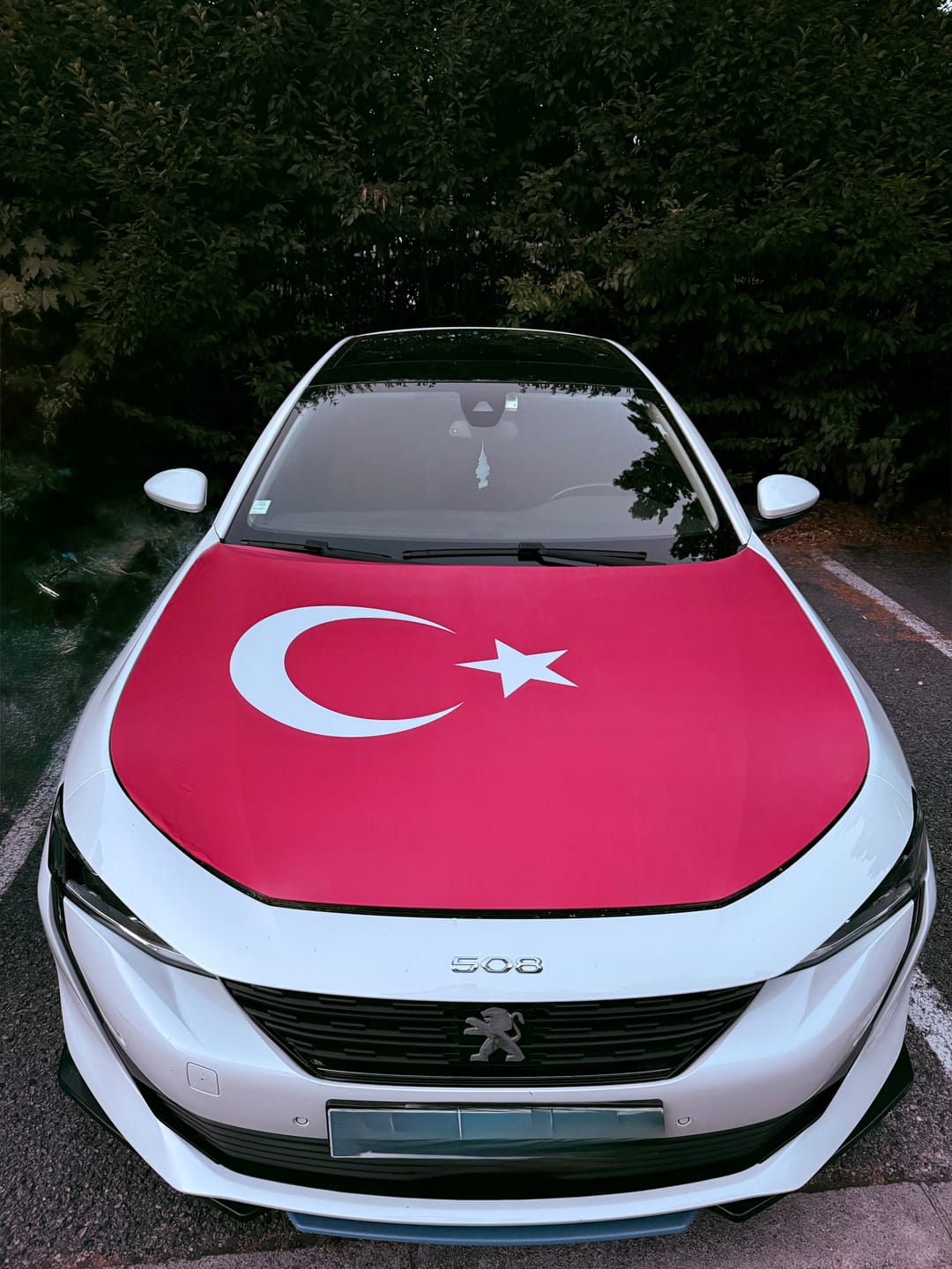 Customer photo review of Drapeau Capot Tissus Elastique (Compatible toute les voitures)