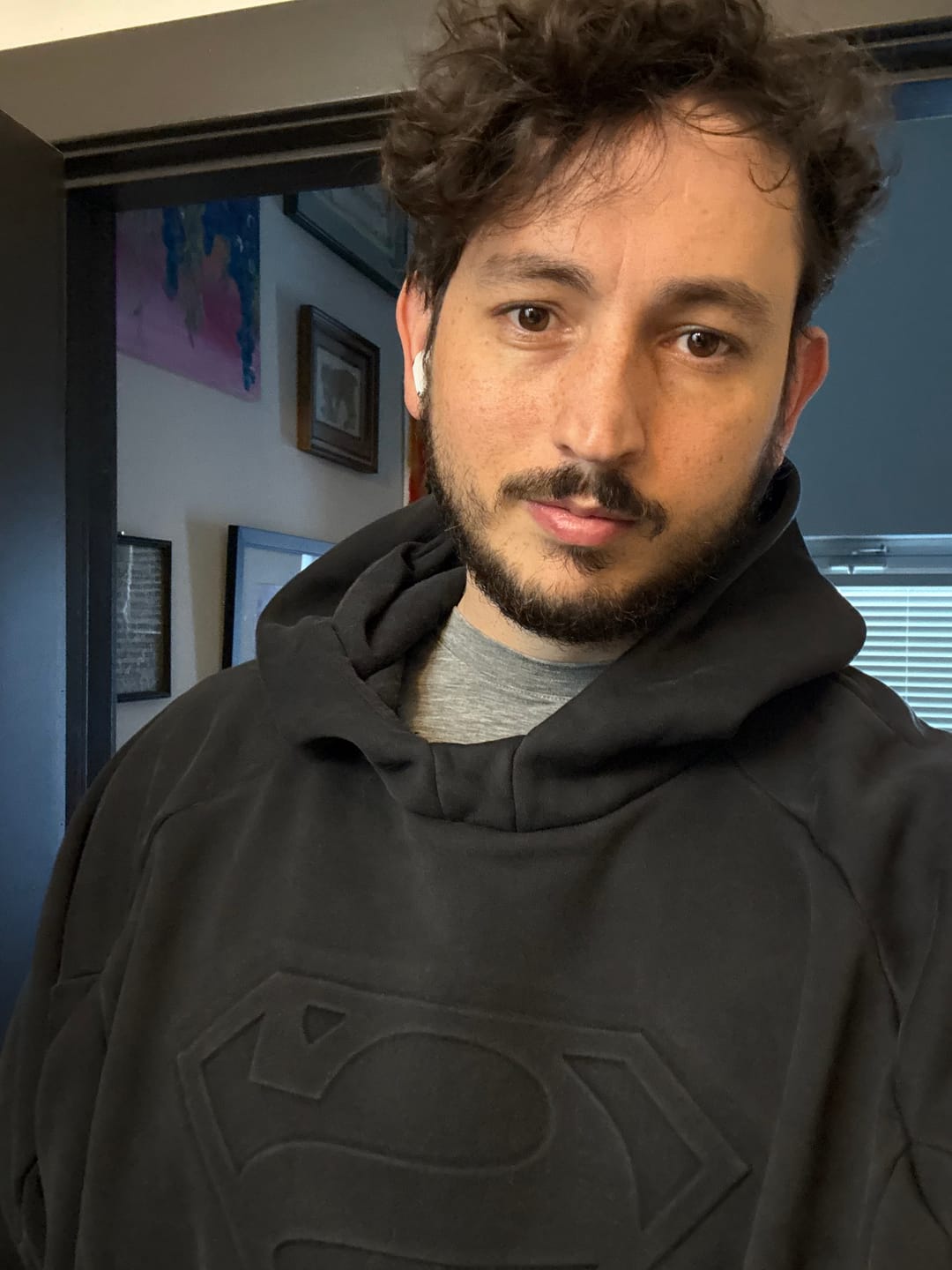 Customer photo review of 5094 - Superman Shield Hoodies