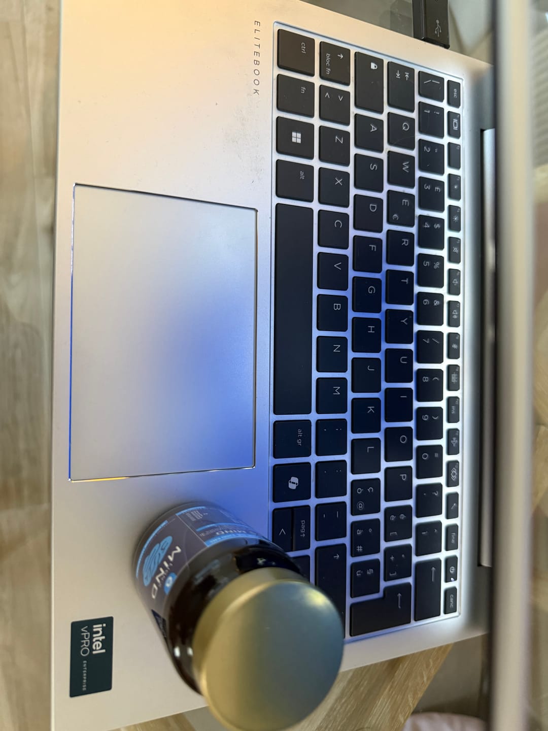 Customer photo review of Lion's Mind