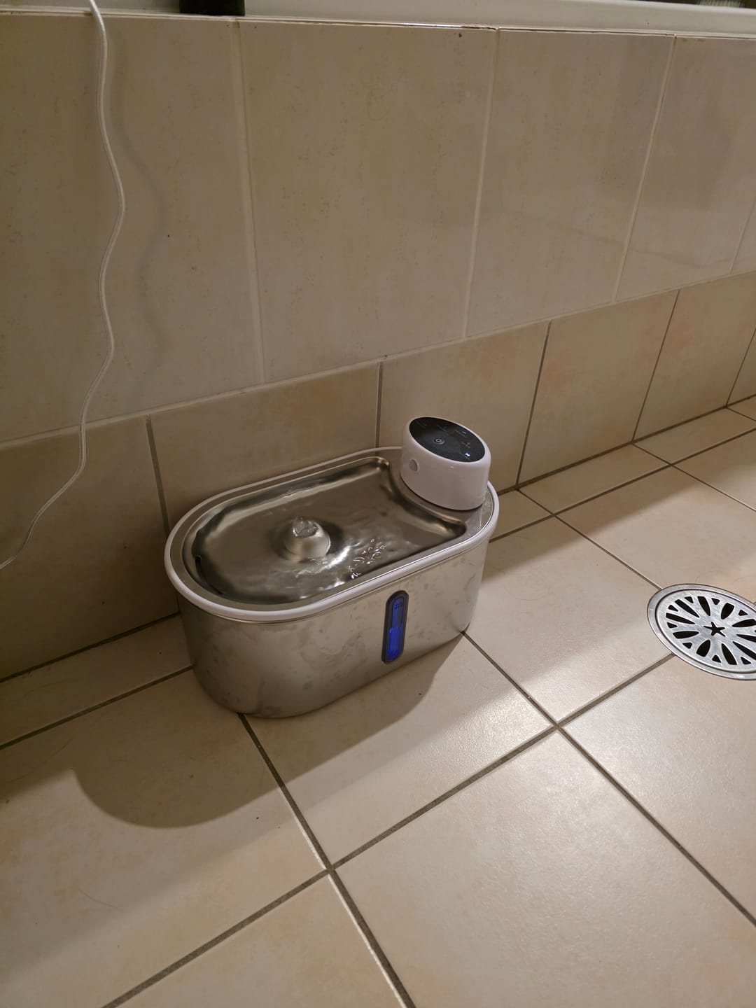 Customer photo review of Petbuds Flow Pet Drinking Fountain