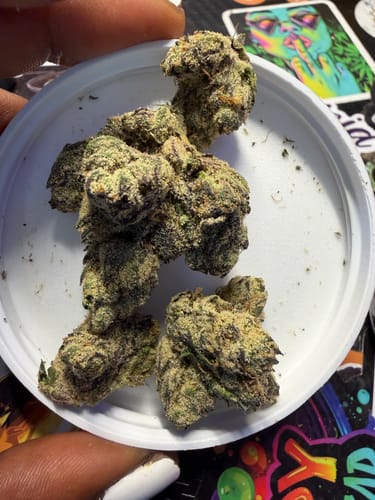 Customer's photo of the delivered product, showing several green cannabis buds in a white jar lid.