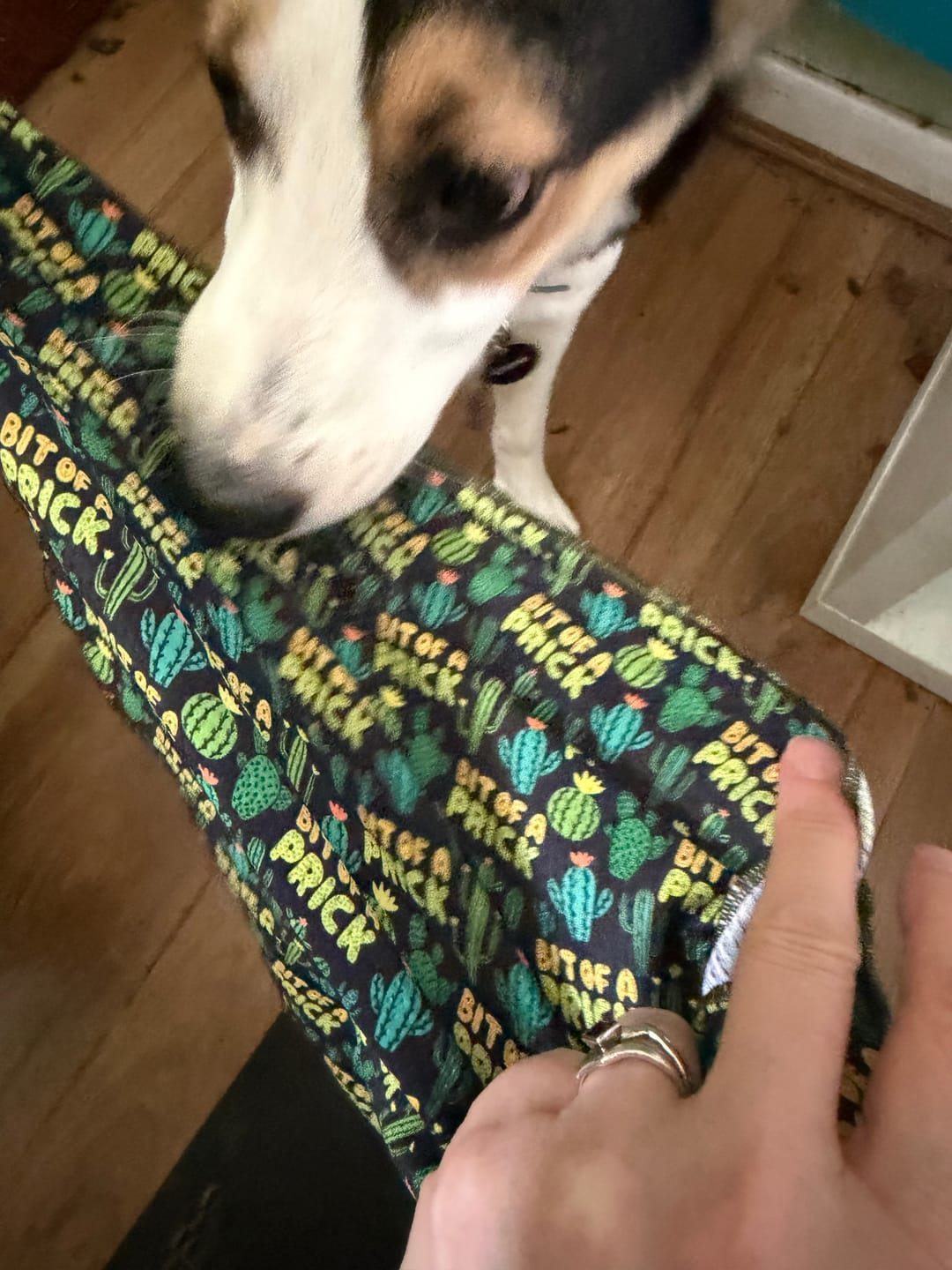 Customer photo review of Bit of a pr**k bandana
