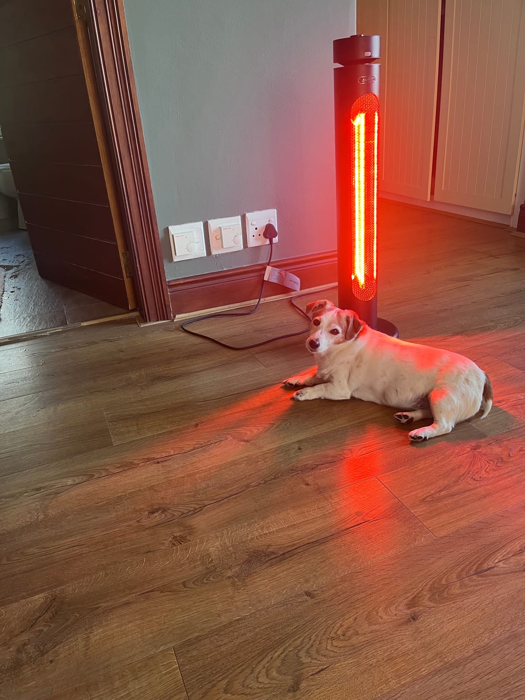 Customer photo review of Indoor & Outdoor Infrared Heater