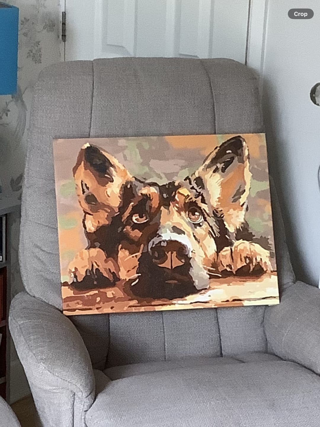 Customer photo review of Bored Shepherd