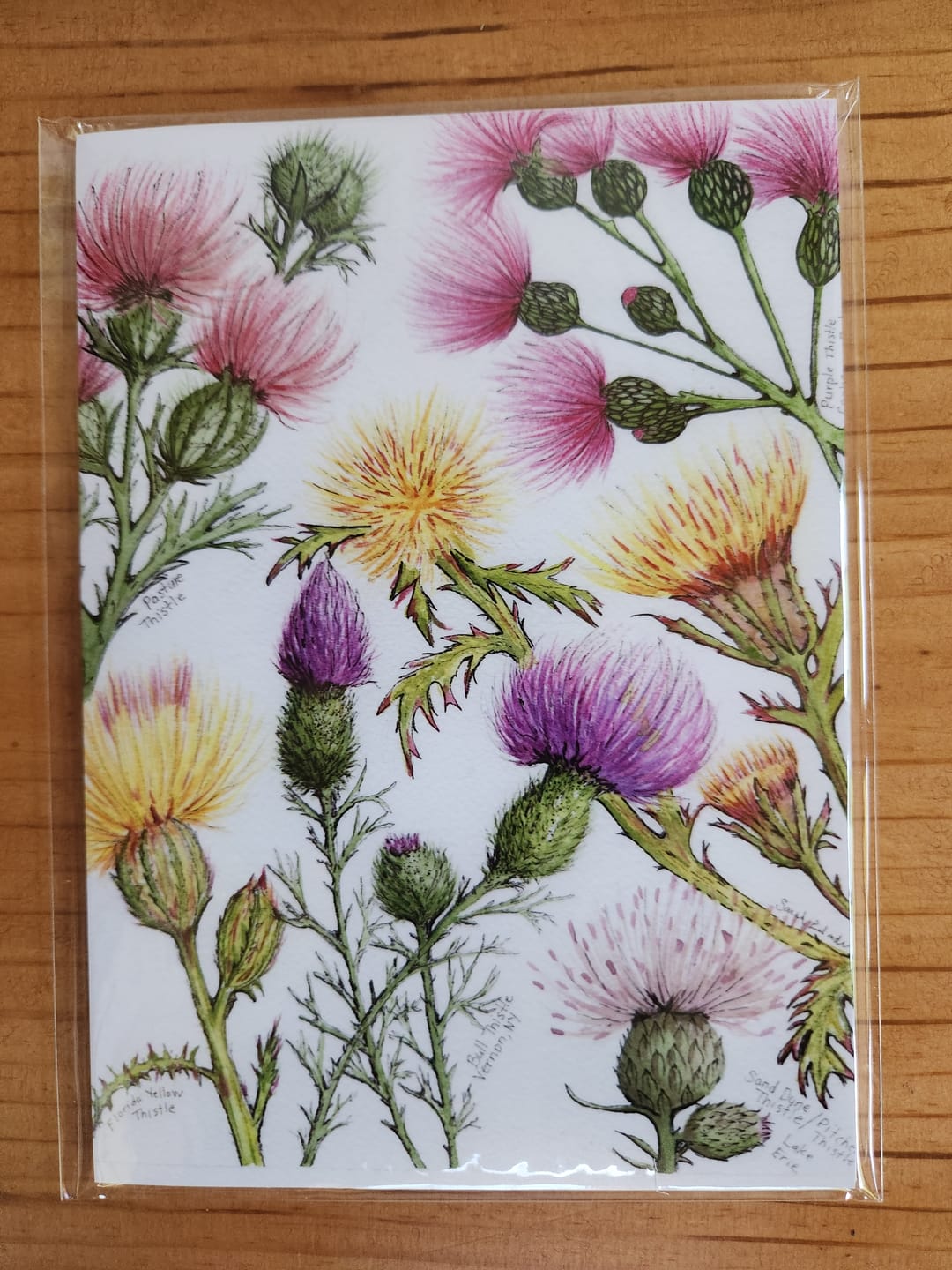 Customer photo review of 5x7 Retail Ready Prints