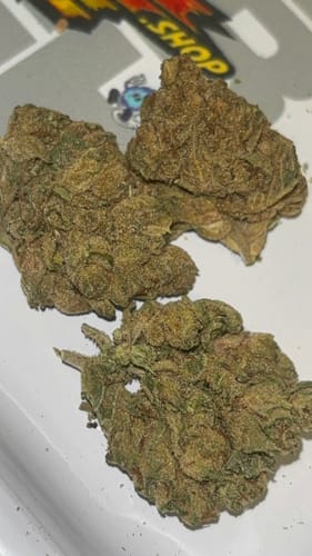 Customer photo review of Cheap THCA Flower Ounce
