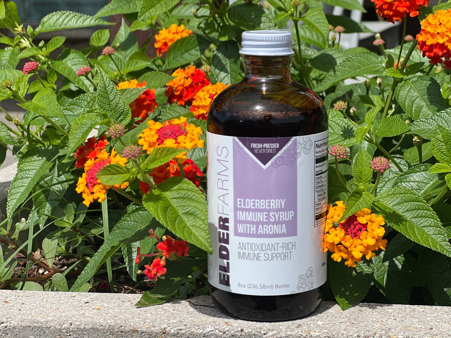 Customer photo review of Elderberry Immune Syrup with Aronia - 12 Pack (Wholesale Case)
