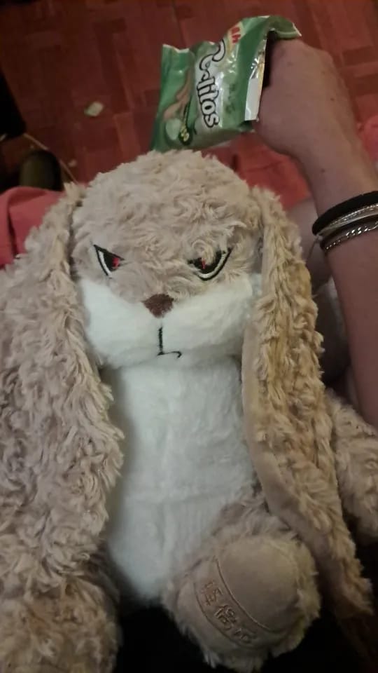 Customer photo review of Pompón™ El Peluche Gruñón Y Adorable