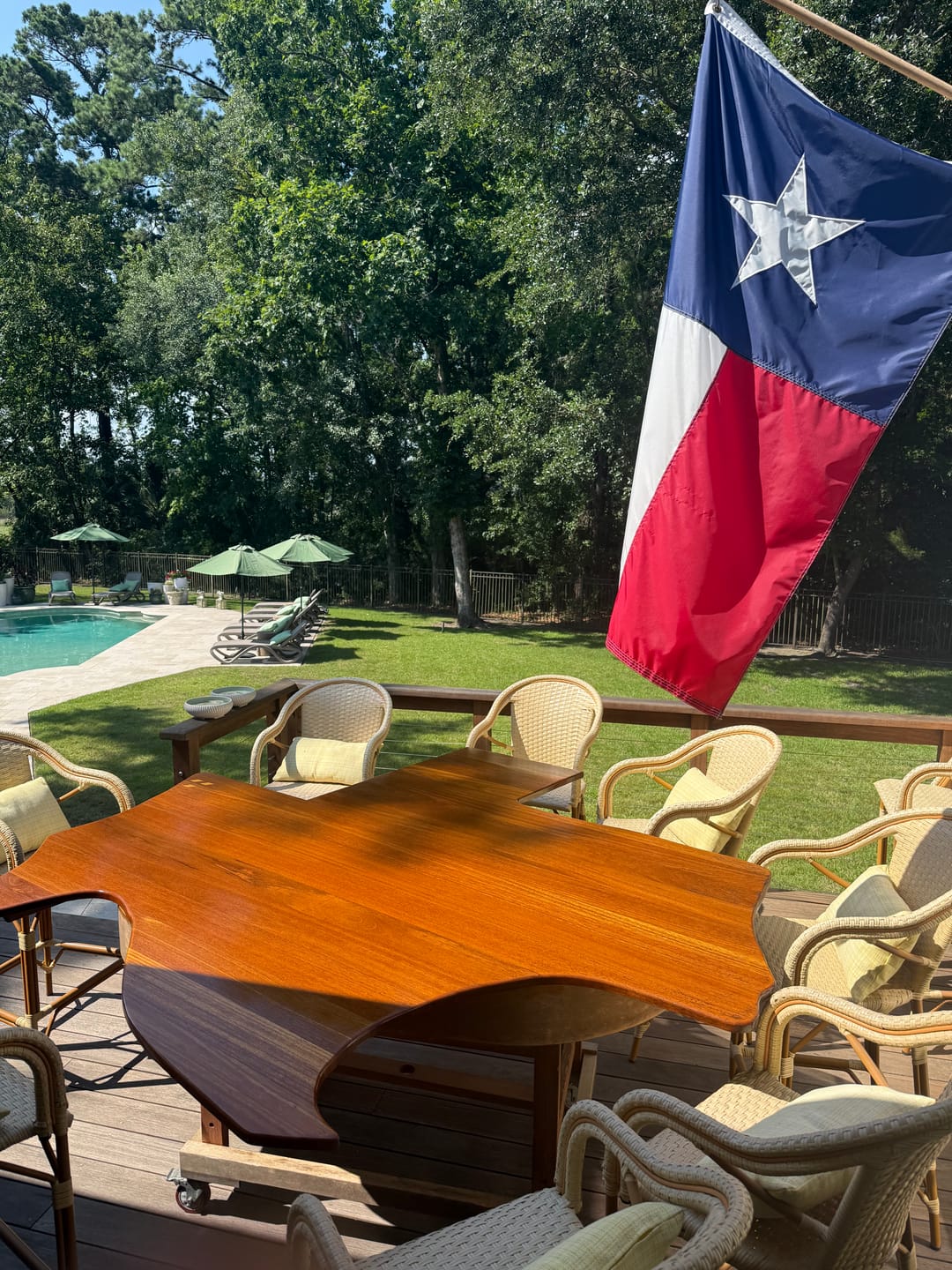 Customer photo review of 3' x 5' Texas Flag