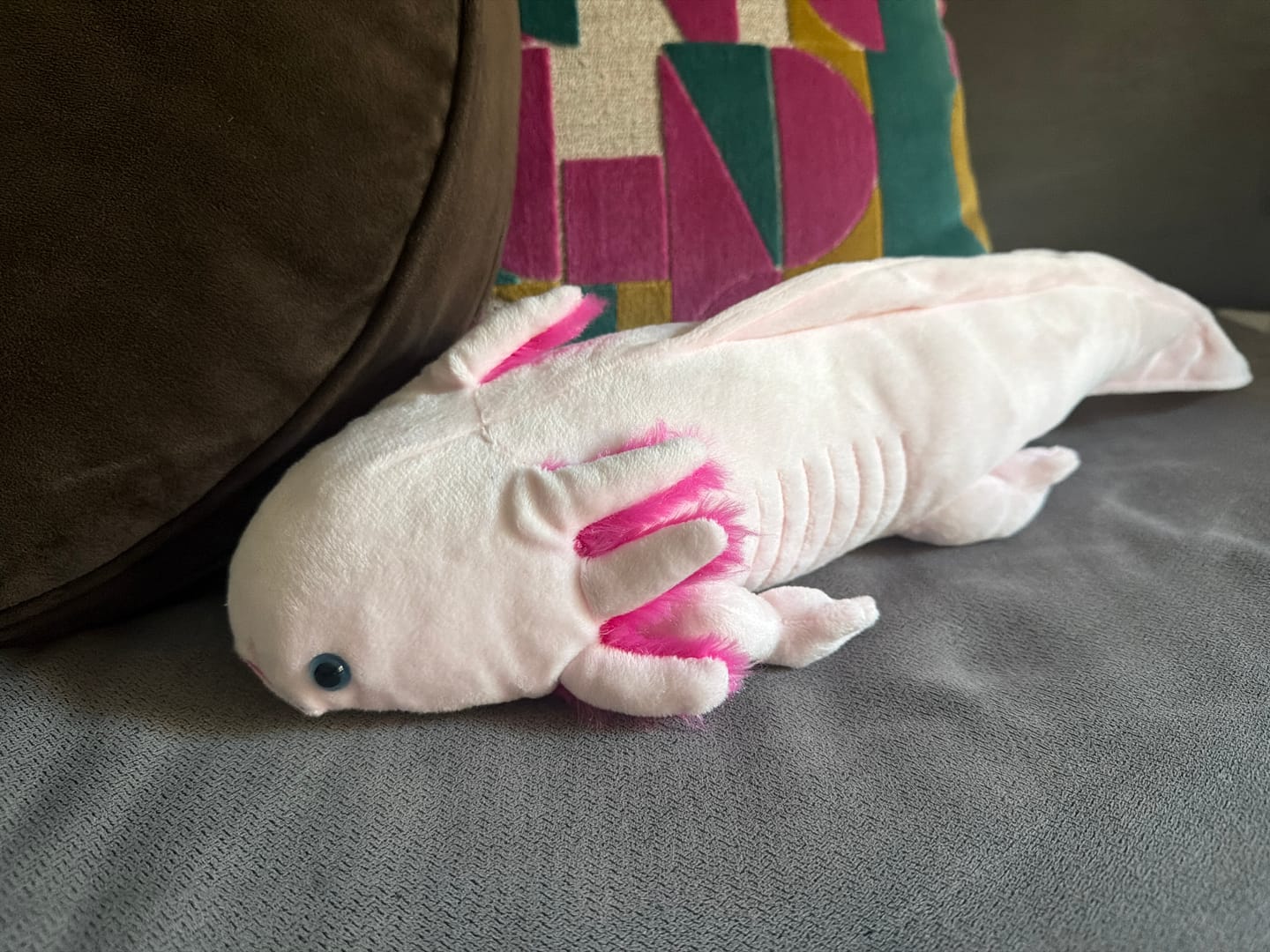 Customer photo review of Pink Axolotl Soft Stuffed Plush Toy