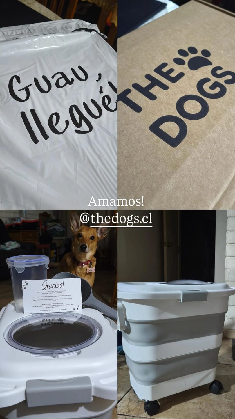 Customer photo review of Contenedor Hermético THE DOGS — Alimento fresco y sin olores