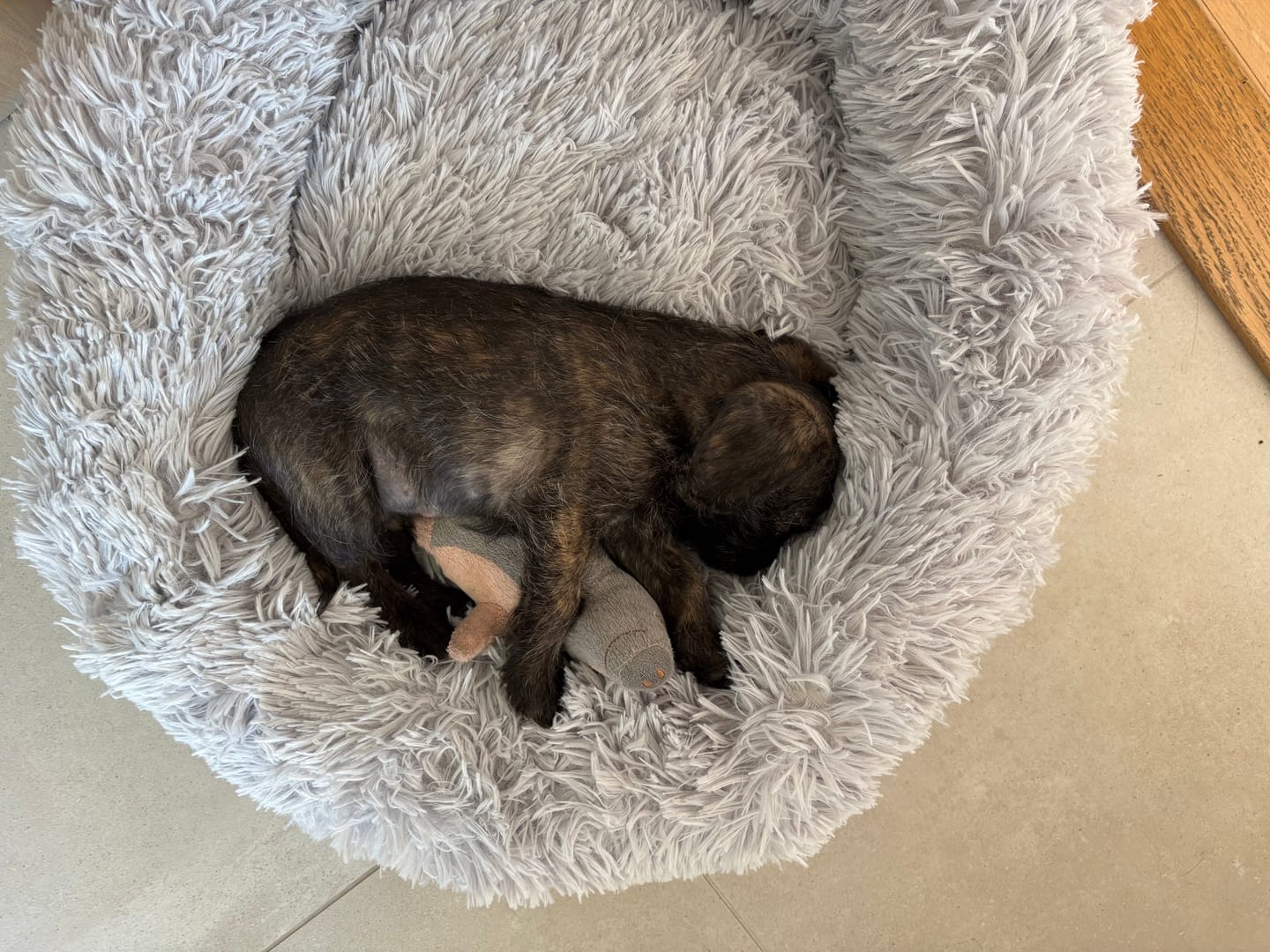 Customer photo review of CalmBed – Ehkäisee stressiä ja lievittää ahdistusta