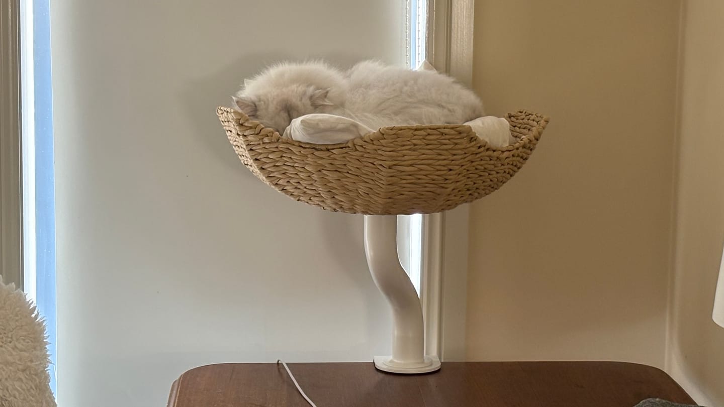 Customer photo review of Michu DeskMate Sustainable Desk-Mounted Side Companion Cat Tree