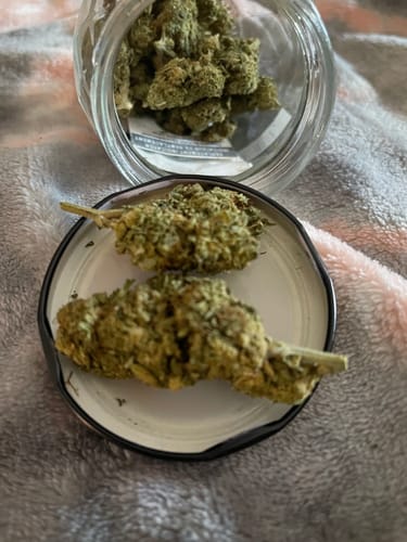 Jack Herer - 14 Grams - Sativa photo review