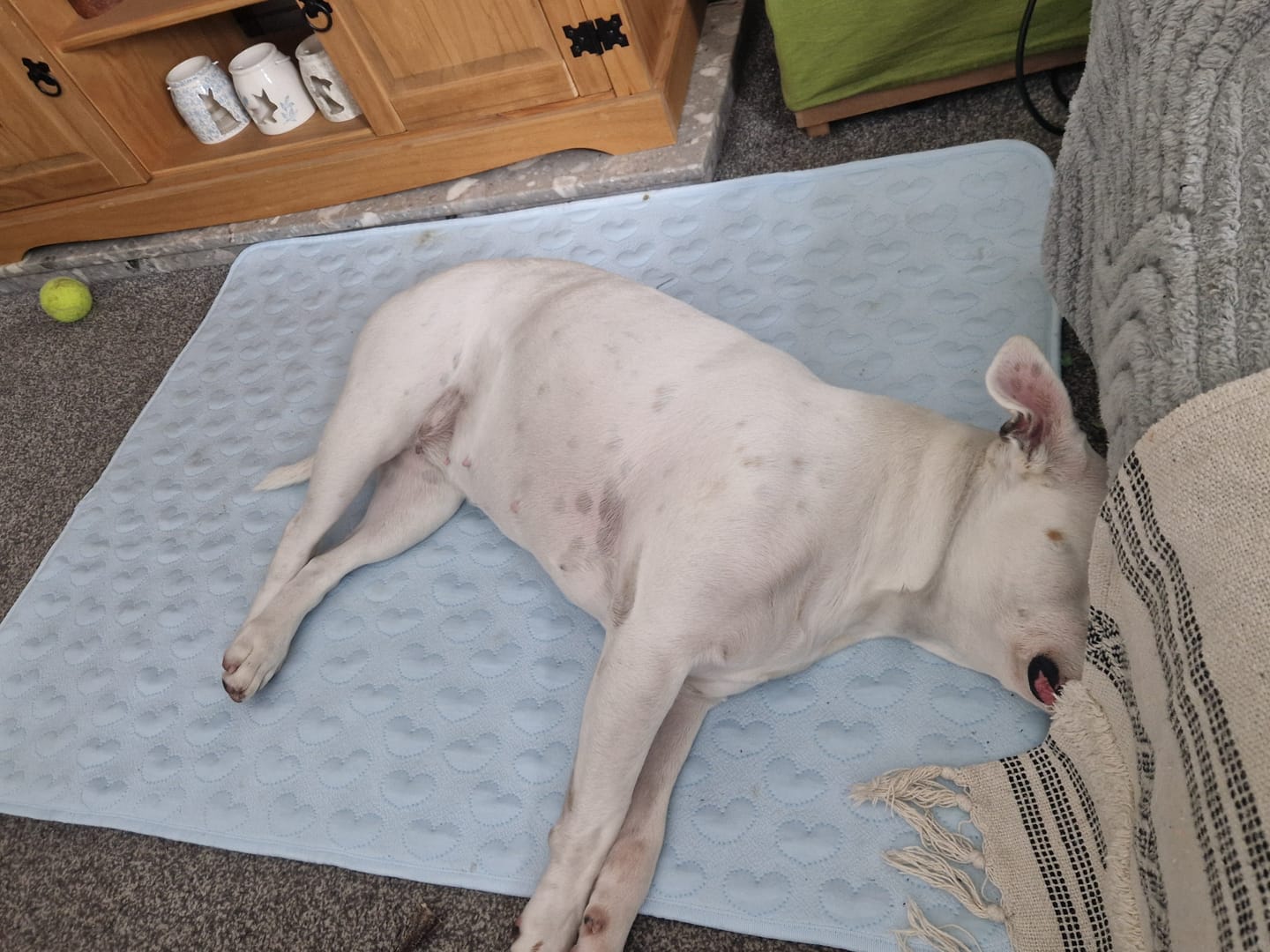 Customer photo review of Frostcore™ Cooling Mat - Hearts Blue