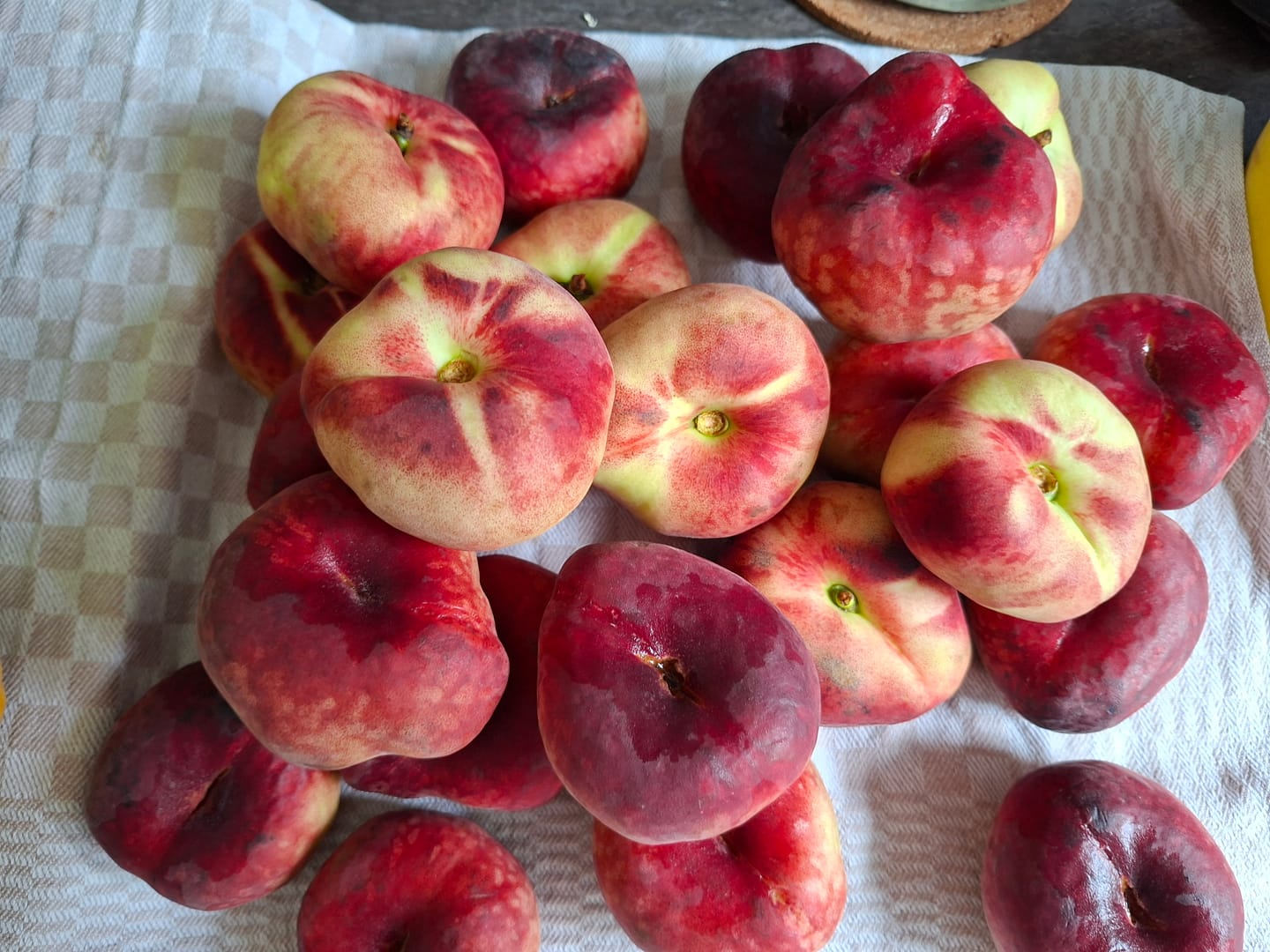 Customer photo review of Nektarinen gelb Bio von Jordi Sparpreis-Box %