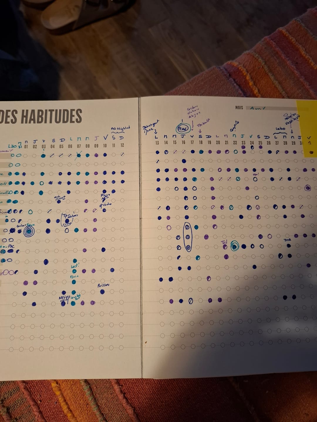 Customer photo review of Carnet des Habitudes