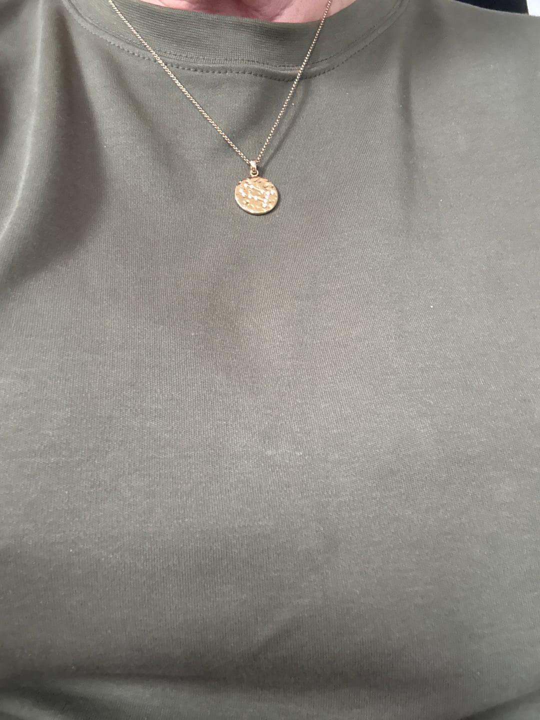 Customer photo review of Zodiac Necklace