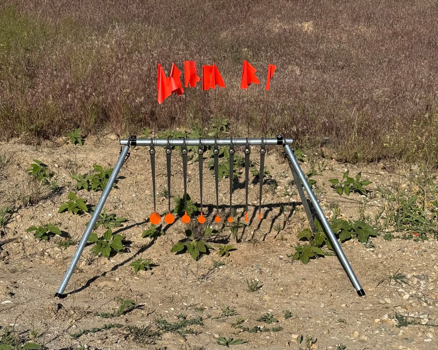 Customer photo review of Know Your Limits Target