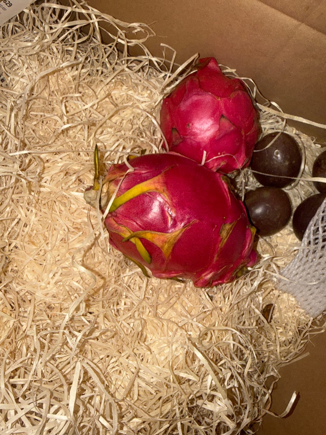 Customer photo review of Drachenfrüchte Trio Box Sonderaktion %