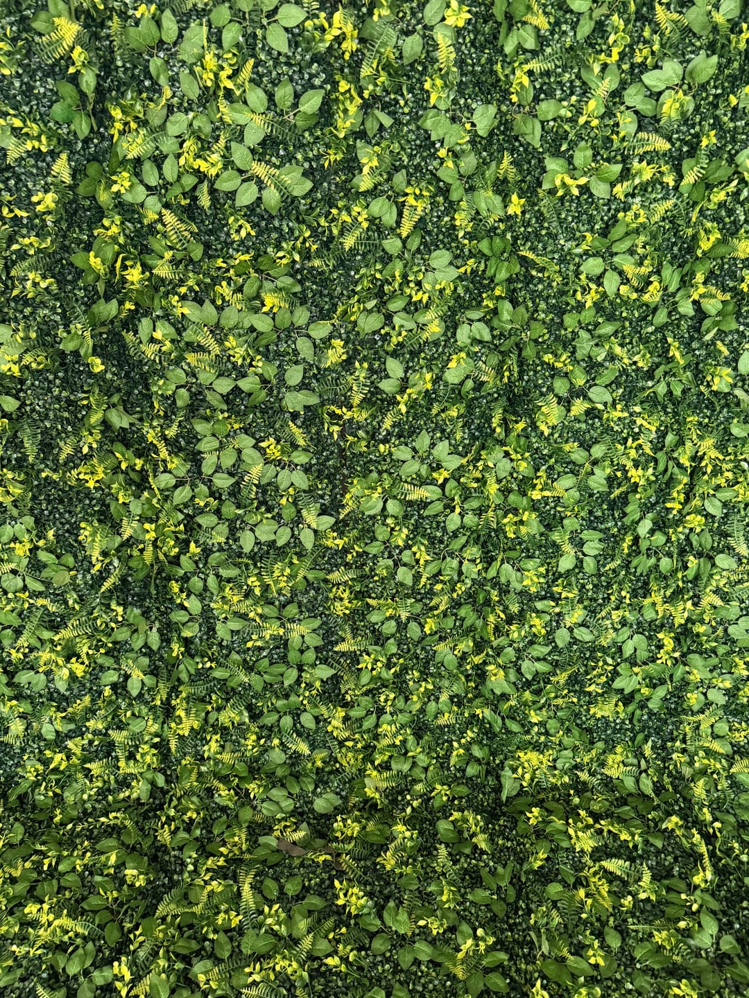 Customer photo review of 8*8ft Artificial Grass Wall Backdrop ALFWL151-Perfect for Weddings, Parties & Event Decor