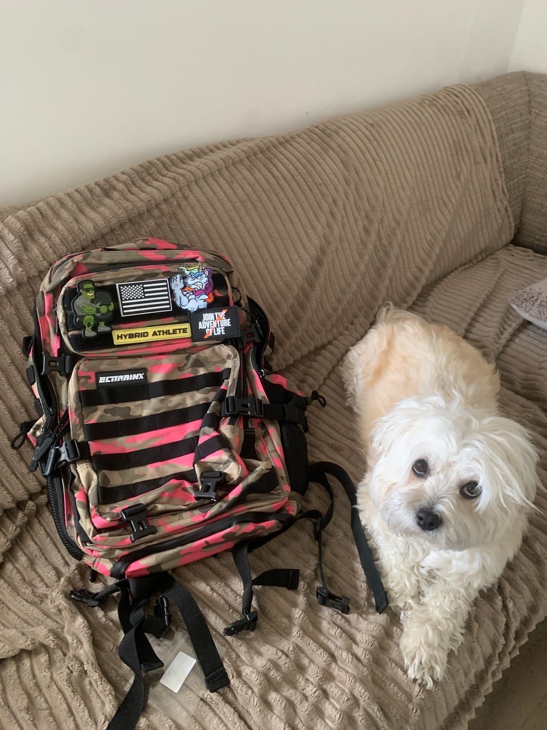 Customer photo review of Premium Tape Extra Adhesivo Cookie Edition Pack 3