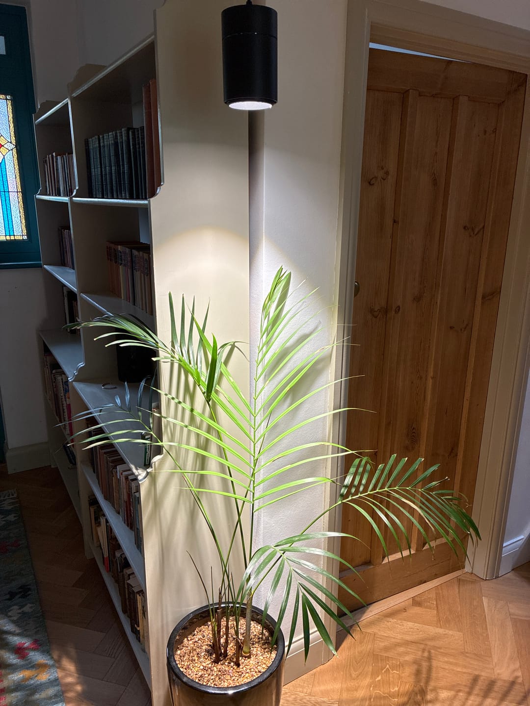Customer photo review of Claria Grow Light Pendant - Refurbished