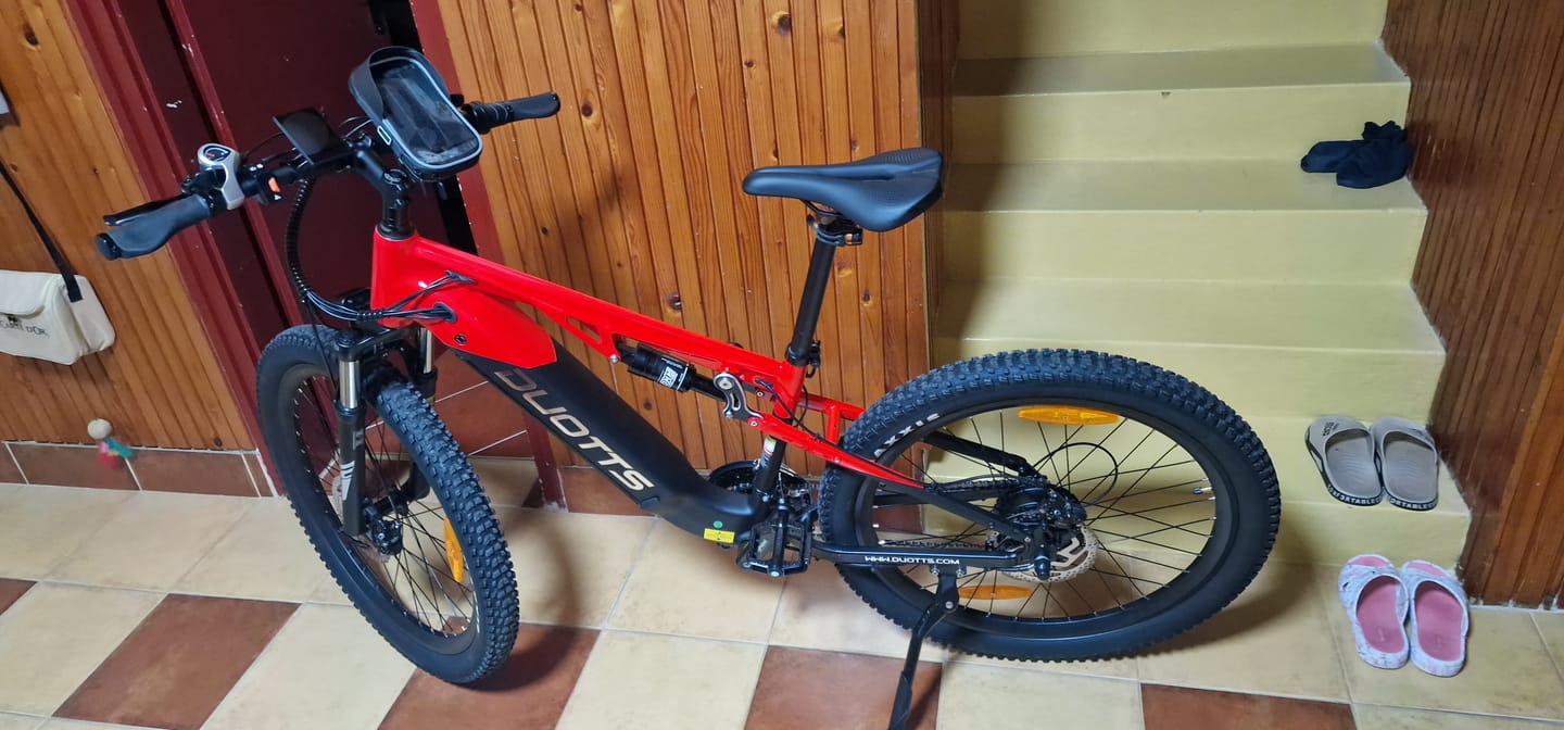 Customer photo review of DUOTTS E29 Electric Bike