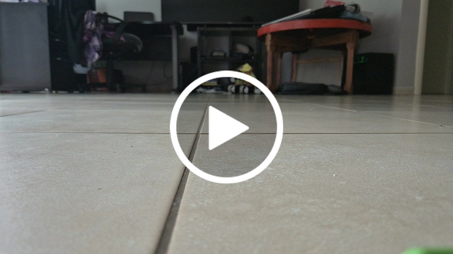 Customer video review of Sneakers Nami