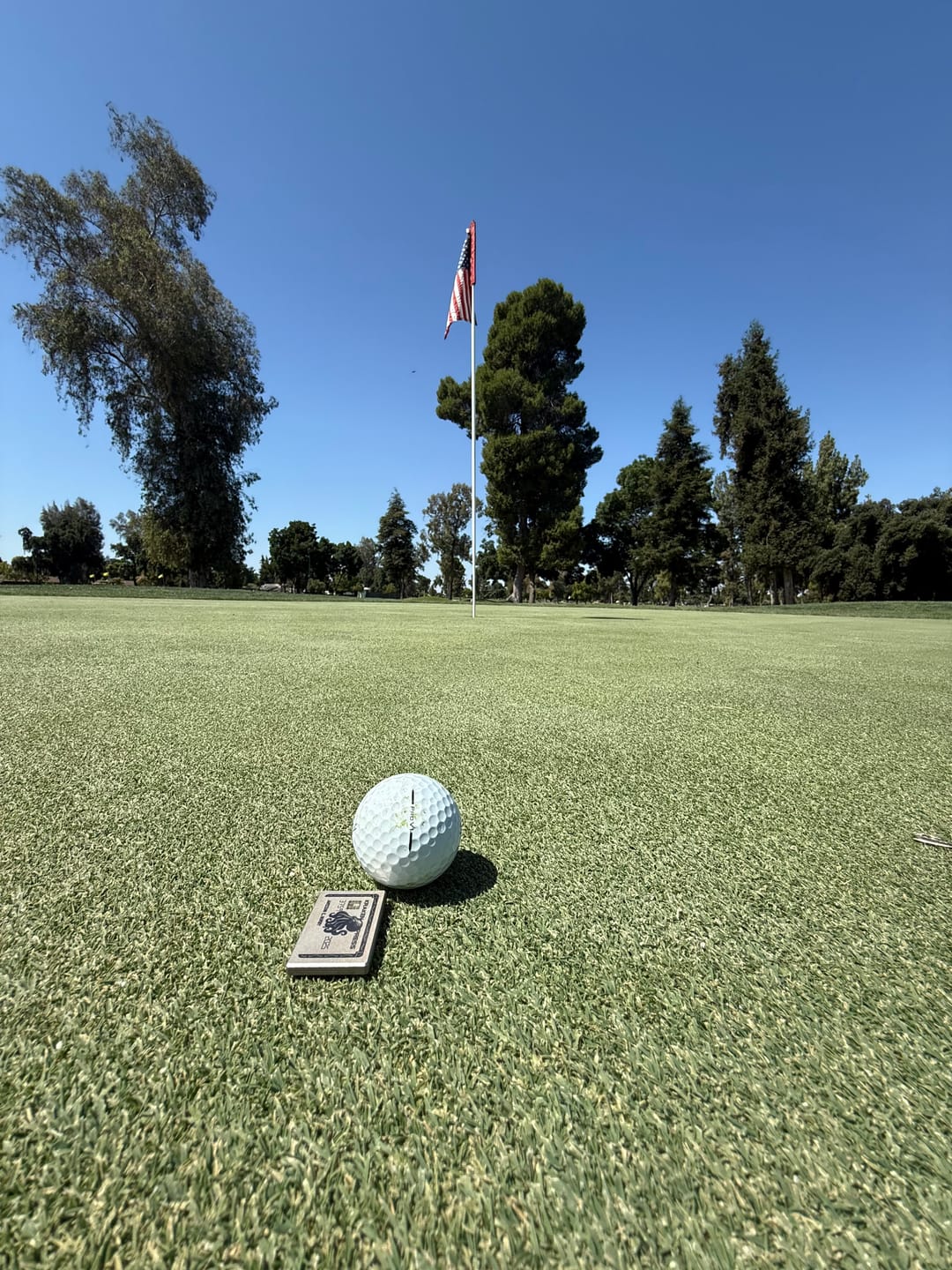 Customer photo review of The Silver Kraken Express Ball Marker | Kraken Titanium Golf Ball Marker
