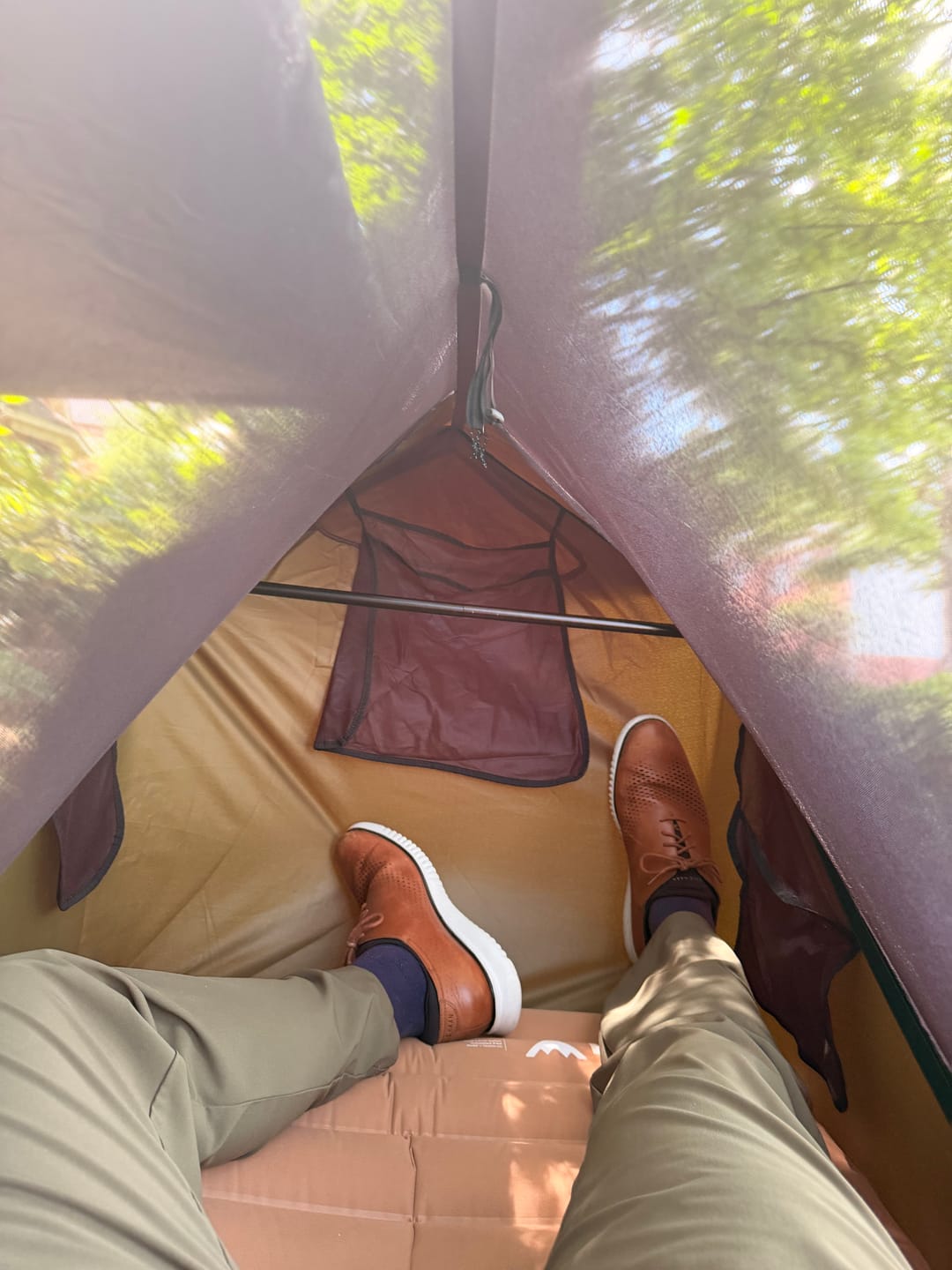 Customer photo review of Haven Safari