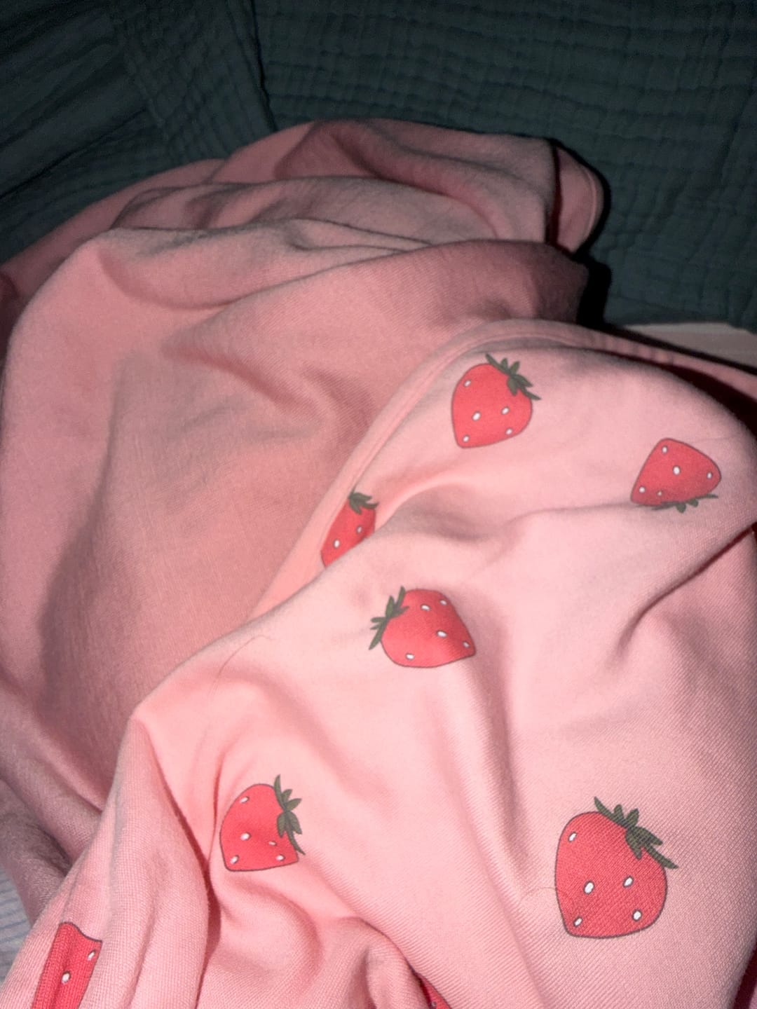 Customer photo review of Toddler Blanket, 4 Season® Merino Wool & Organic Cotton Blanket, 52.5" x 40", Strawberry