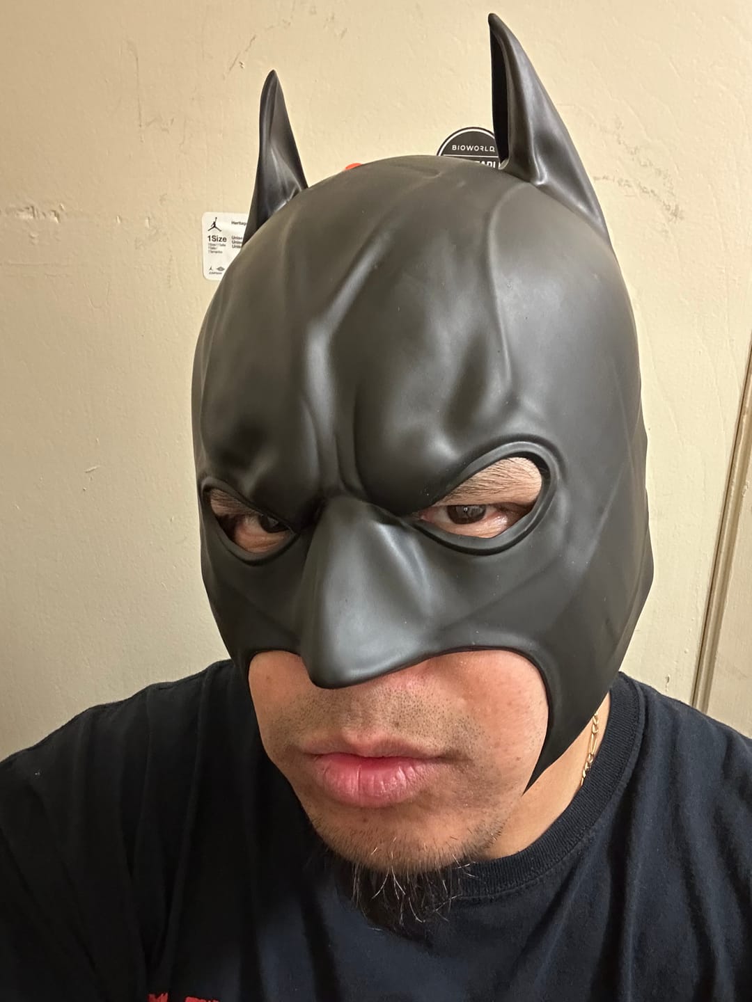 Customer photo review of The Dark Mask