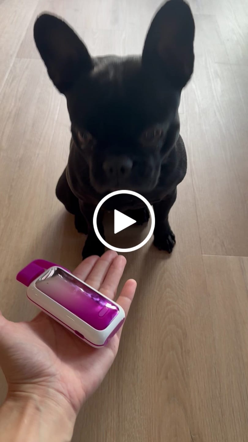 Customer video review of Vozol Star 20.000