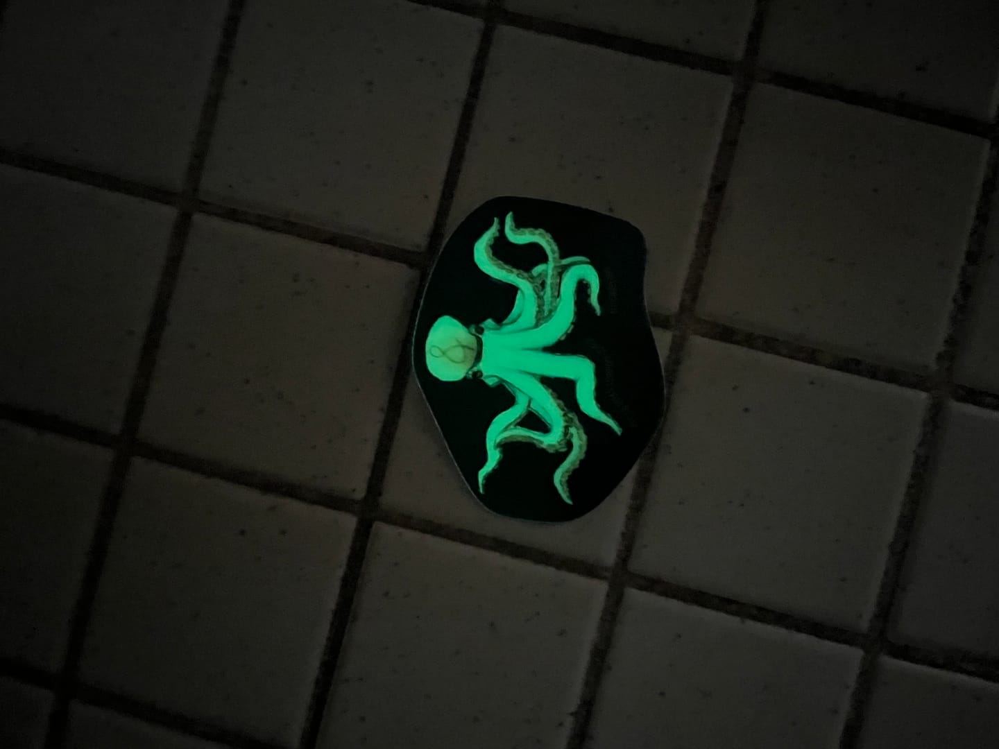 Customer photo review of 50 - 2.5" Glow in the Dark Stickers