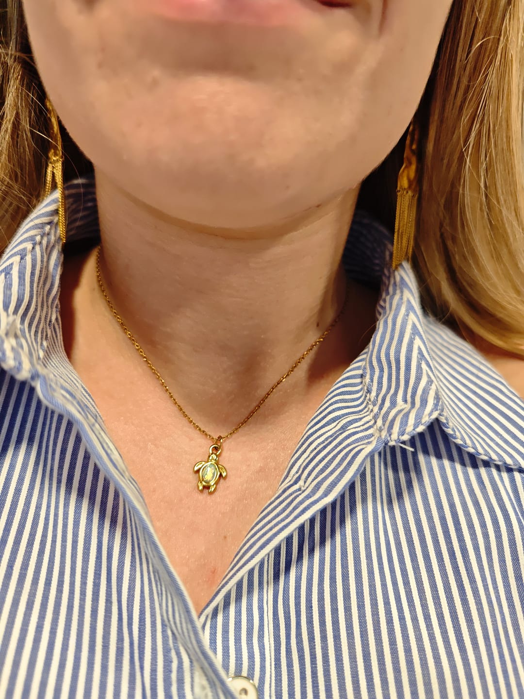 Customer photo review of Collar Tortuga Marina