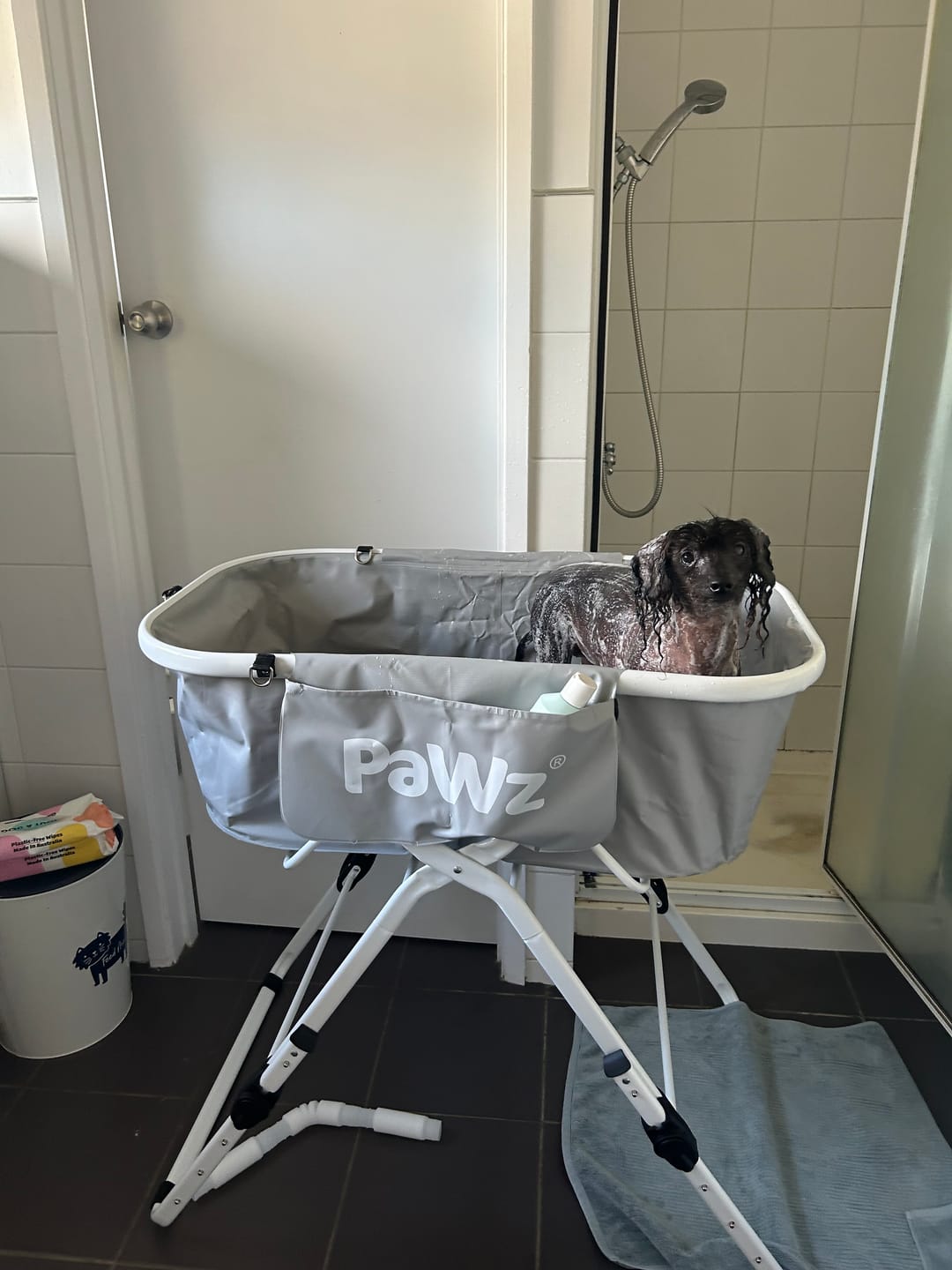 Customer photo review of Dog Wash Bathtub - Foldable & Adjustable Height