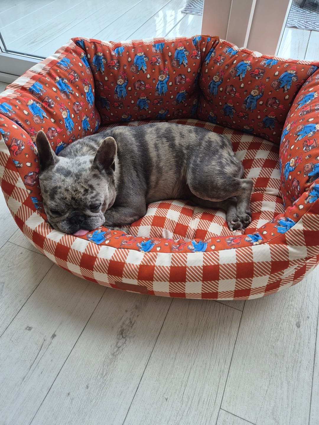 Customer photo review of Dog Bed - Paddington™