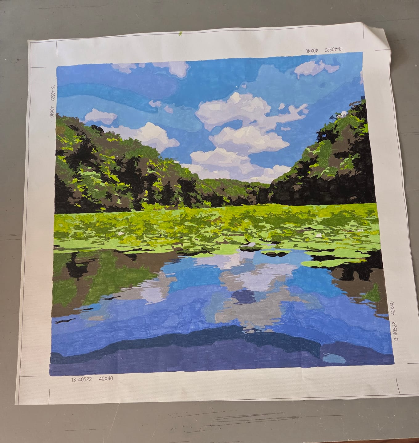 Customer photo review of Custom Paint by Number