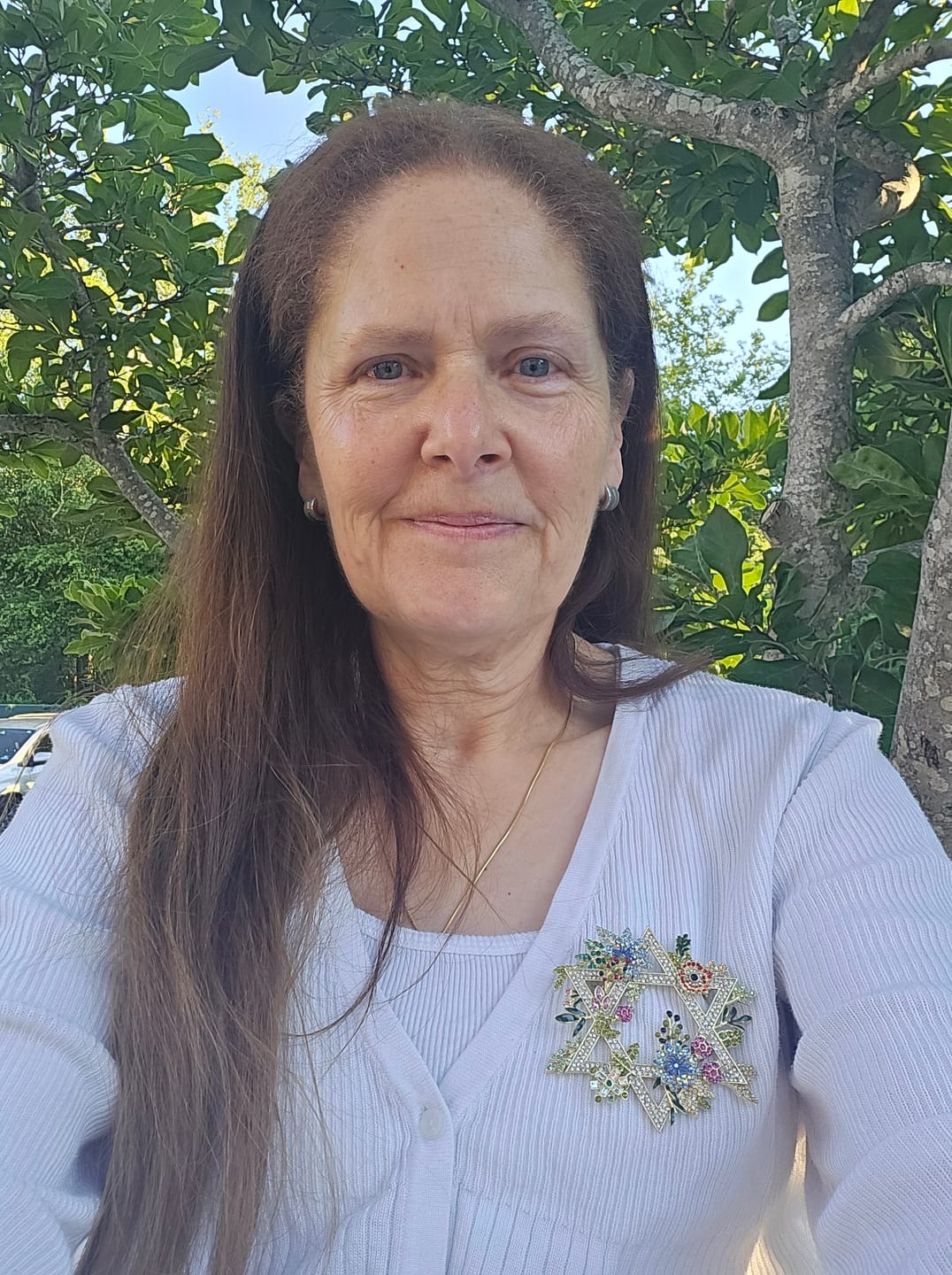 Customer photo review of HEIDI DAUS® "Protection, Unity & Hope" Crystal Floral Star of David Brooch