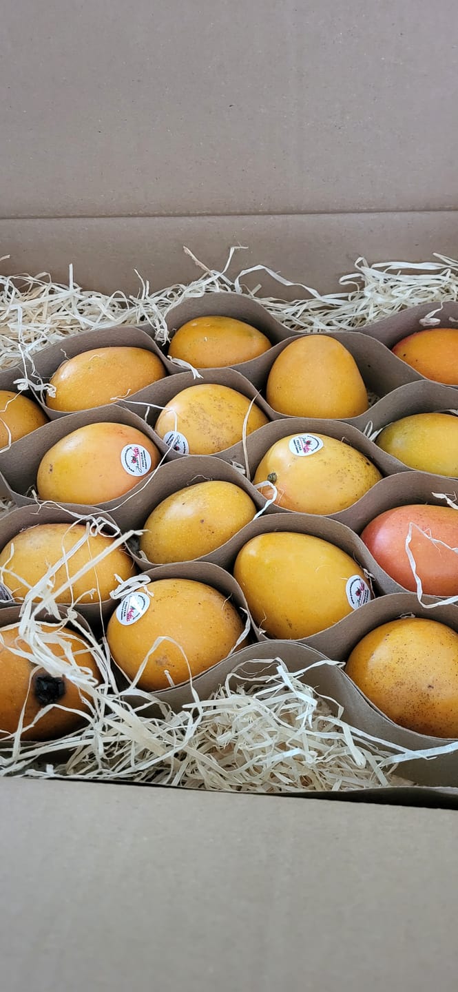 Customer photo review of Weinbergpfirsiche "Paraguayo" Bio von Jordi 2kg Box Sonderpreis %