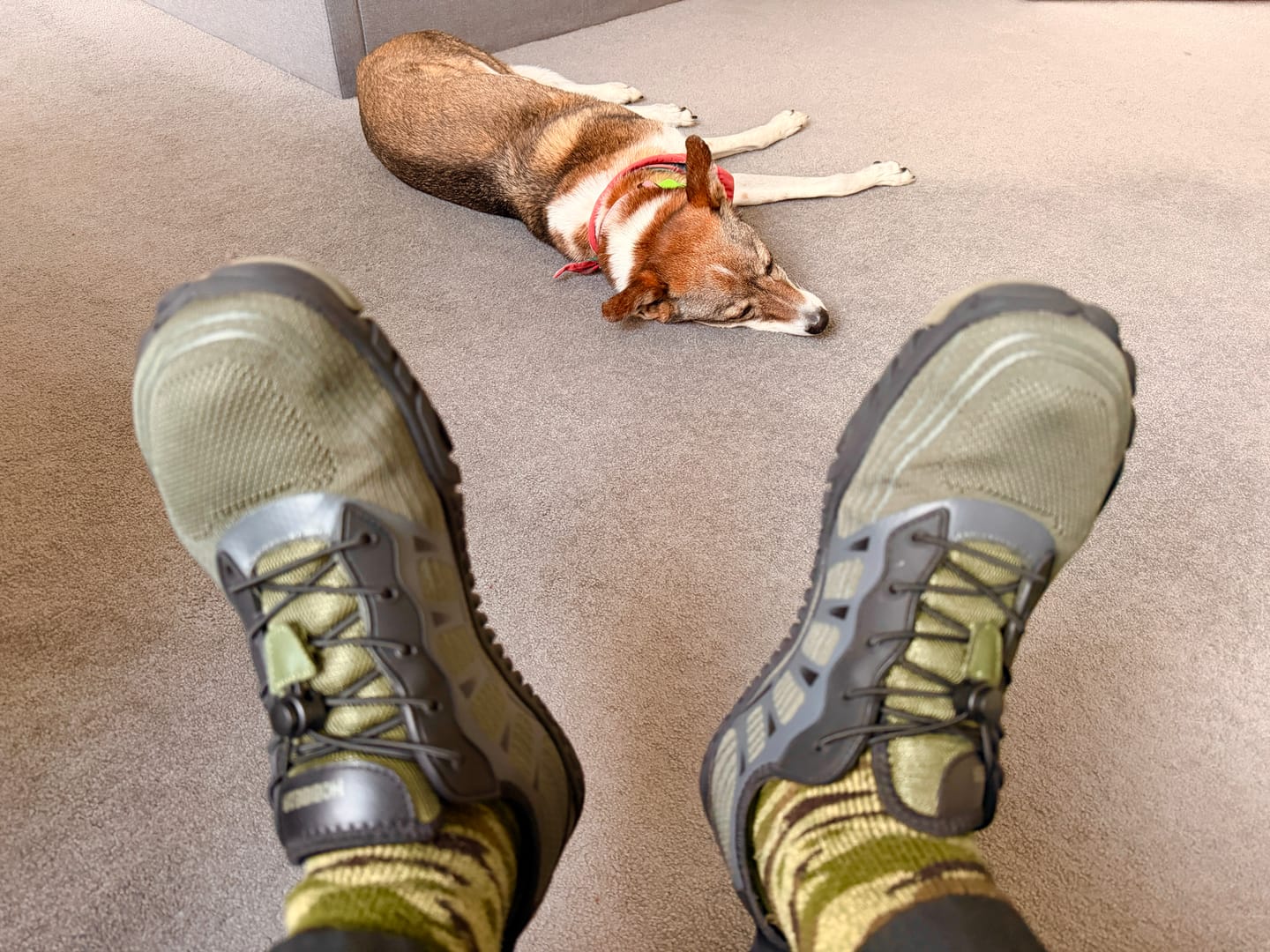 Customer photo review of WolfPaw - Barefoot Shoes