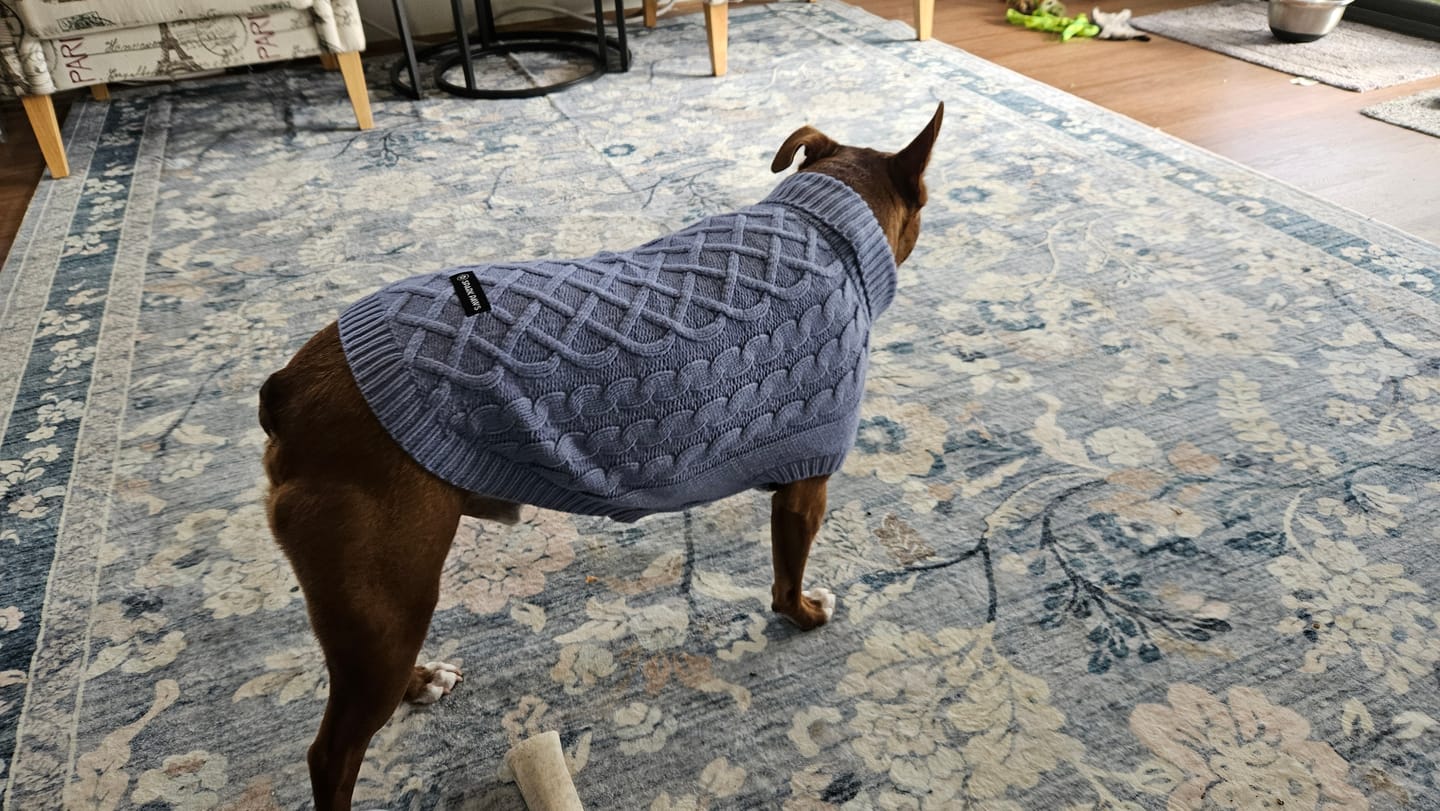 Customer photo review of Cable Knit Dog Sweater - Blue