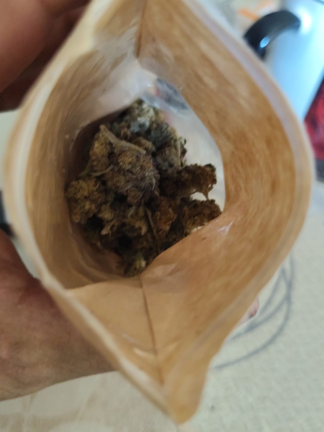 Customer photo review of Super Silver Haze Popcorn